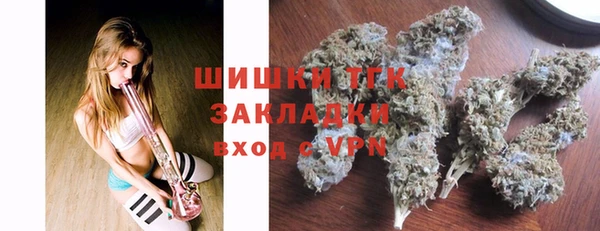 прущие грибы Одинцово