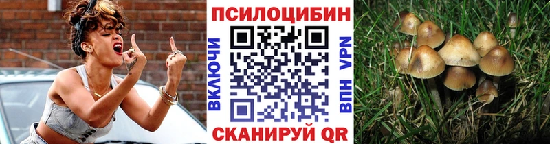 Псилоцибиновые грибы прущие грибы  Ревда 