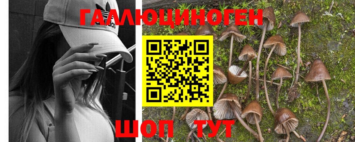 Галлюциногенные грибы GOLDEN TEACHER Ревда