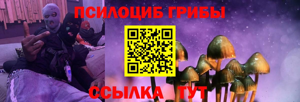 где продают   Псилоцибиновые грибы мухоморы  Вход с VPN  Ревда 